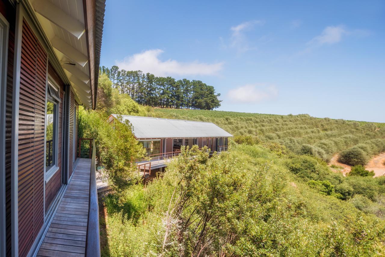 Bush Lodge At Hidden Valley Wines Stellenbosch Luaran gambar